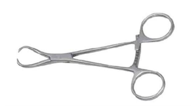 Bone Holding Clamps