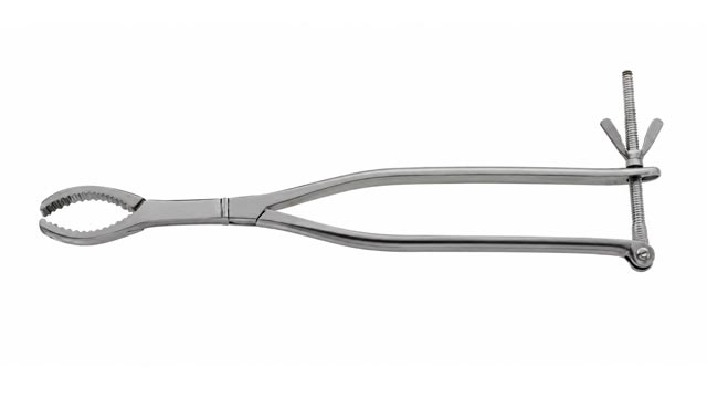Lane Bone Holding Forceps Serrated Jaws with 2 x 2 Prongs 8" 10" 12"
